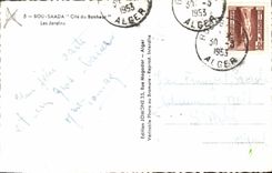 CPA Bou Saada Cite du Bonheur Les Jardins 