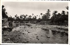 CPA Bou Saada Algerie Cite du Bonheur L'Oued 