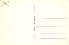 CPA Dans le Desert Chameaux