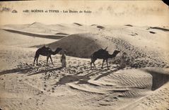 CPA Scenes et Types Les Dunes de Sable Chameaux