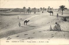 CPA Scenes et Types Paysage saharien Au desert 