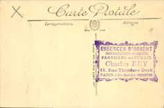 CPA Scenes et Types Paysage saharien Au desert 