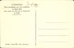 CPA Alger Palais d'Ete Salon Mauresque