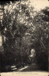 CPA Alger Une Allee du Jardin Marengo 