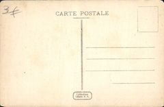 CPA Alger Une Allee du Jardin Marengo