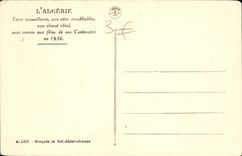 CPA Alger Mosquee de Sidi Abderrahmane 