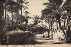 CPA Scenes et Types Dans le Pameraie 