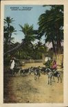 CPA Biskra Tropeau allant au paturage Chevres
