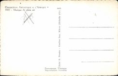 CPA Collection Artistique L'Afrique Musique de plein air 