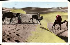 CPA Collection Artistique L'Afrique Bassour dans les Dunes 