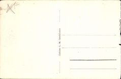 CPA Convoi de chameaux dans le Sud 