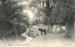 CPA Biskra Une rue au Vieux Biskra 