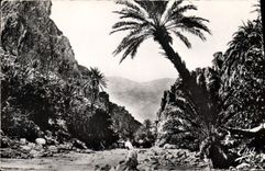 CPA Biskra Gorges et Oued 