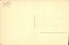 CPA Dans la Palmeraie 