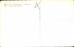 CPA L'Afrique Prieure au Desert 