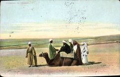 CPA Chameau en Desert 