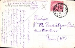 CPA Chameau en Desert 