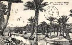 CPA Scenes et Types Paysage du Sud 