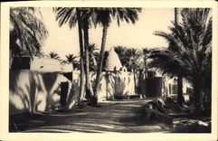 CPA Dans le Vieux Biskra Mosquee de M Cid 