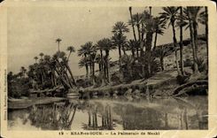 CPA Ksar es Souk La Palmeraie de Meski 