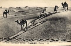 CPA Scenes et Types Mehara 