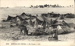 CPA Scenes et Types Un Douar Ane Mule