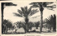 CPA Scenes et Types Palmiers 