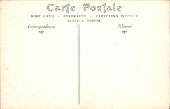 CPA Chateau d'Amboise 