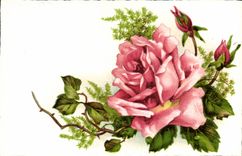 CPA Fantaisie Fleurs