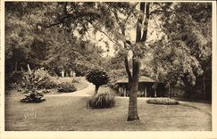 CPA Vichy Allier le Parc des Celestins 