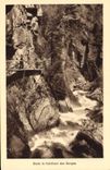 CPA Dans la Frtaicheur des Gorges Gorges de la Diosaz