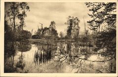 CPA Fontainebleau S et M la Foret Mare aux Fees 