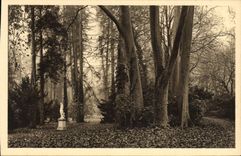 CPA Fontainebleau S et M Jardins du Palais Allee des Platanes 
