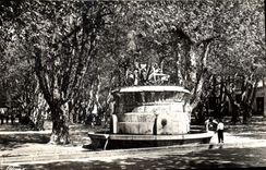 CPA Cote d'Azur Saint Tropez Var La Place des Lys 