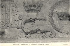 CPA Chateau de Chambord Salamandre embleme de Francois I 