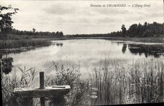 CPA Domaine de Chambord L'Etang Neuf 