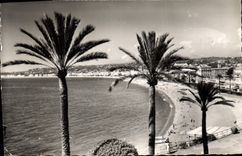 CPA Nice La Plage et la Promenade des Anglais vues de la Colline du Chateau 