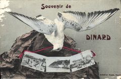 CPA Souvenir de Dinard 