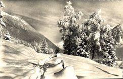 CPA Region du Mont Blanc l'hiver 