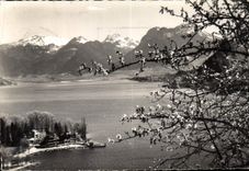 CPA Lac d'Annecy 