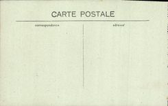 CPA Lourdes La Basilique et la Grotte 