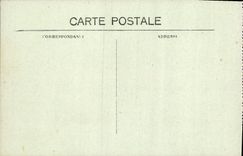 CPA Lourdes La Basilique et le Gave 