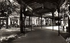 CPA Vichy Allier Galorie Couverte et la Pergola dans le Parc des Sources 