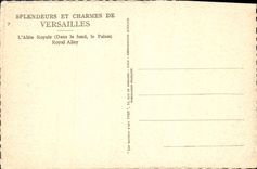 CPA Versailles L'Allee Royale Dans le fond le Palais 