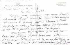 CPA Alger Le Jardin d'Essai et le Musee 