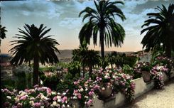 CPA Grasse Sa vegetation exotique Au fond la Mediterranee 