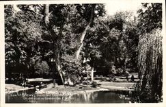 CPA Vichy Dans les grands Parcs Un Joli coin au bassin des Cygnes 