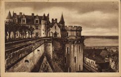 CPA Amboise Le Chateau cote Est et la Loire 