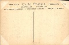 CPA Chateau d'Azay le Rideau 