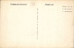 CPA Loches Le Chateau Royal La Collegiale Saint Ours et le Donjon